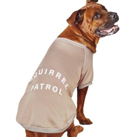 Lightweight Fleece Pet Sweatshirt - Squirrel Patrol, Gray - MD - Boots & Barkley - Picture 2 of 8